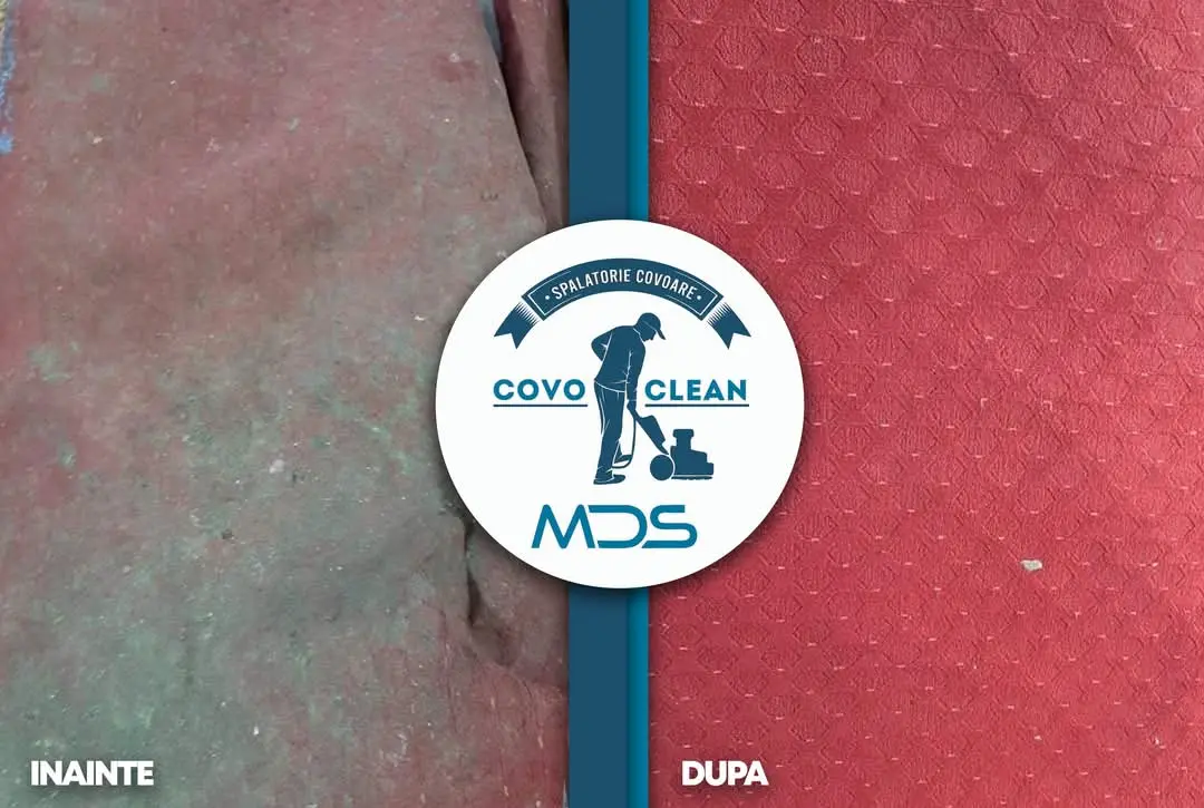 Comparație înainte și după spălare covor